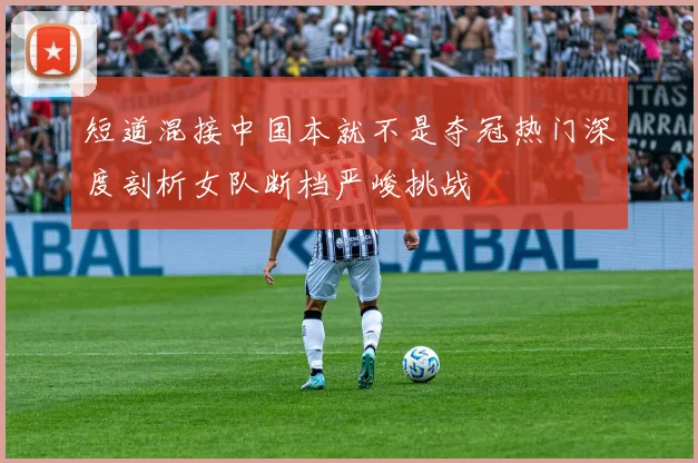 短道混接中国本就不是夺冠热门深度剖析女队断档严峻挑战