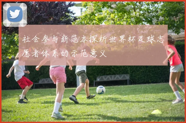 社会参与新范本探析世界杯足球志愿者体系的示范意义